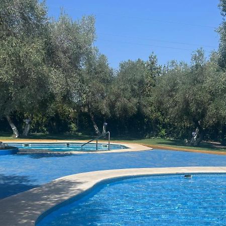 Apartamento A 8Km Sevilla Centro Valencina de la Concepción Zewnętrze zdjęcie