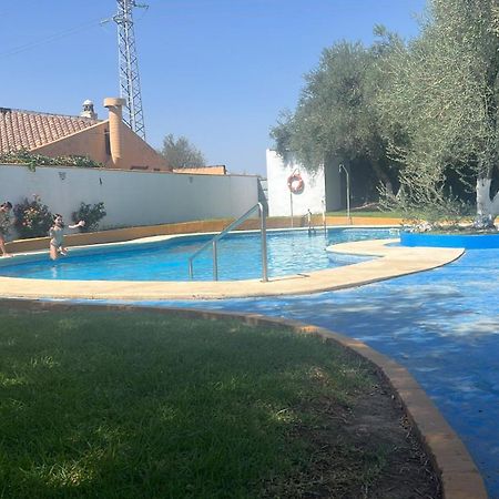 Apartamento A 8Km Sevilla Centro Valencina de la Concepción Zewnętrze zdjęcie